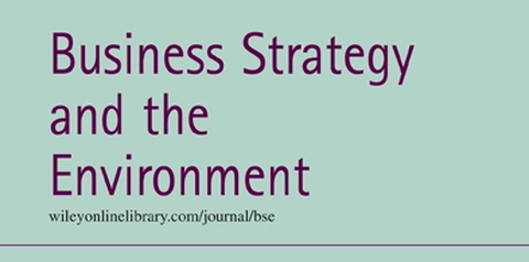 Titelseite von Business Strategy and the Environment