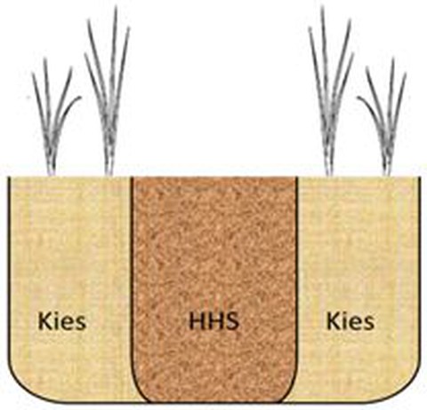 Seitenschnitt