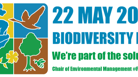 Customized Biodiversity Day logo from CBD