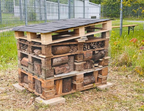 Insektenhotel der AG Biodiversität