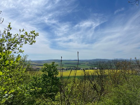 Foto von der Exkursion zur Landeskrone