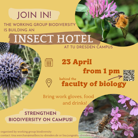 Eine Werbung für das von der Arbeitsgruppe Biodiversität geplante Insektenhotelprojekt