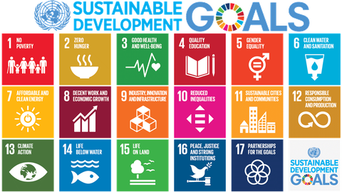17 Ziele für nachhaltige Entwicklung der UN ("Sustainable Development Goals", SDGs)