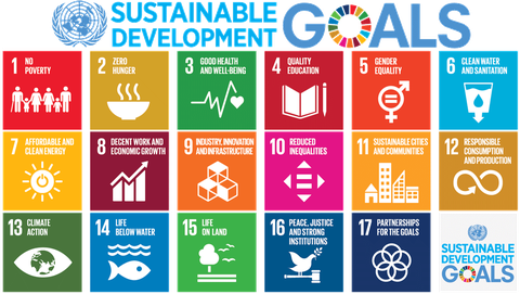 United Nations 17 Sustainable Development Goals (SDGs)