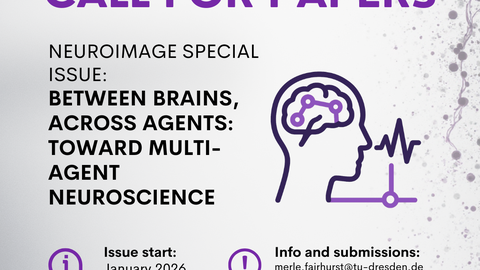 neuroimage special