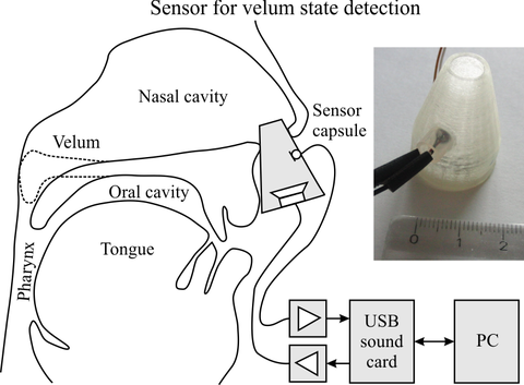 Grafik mit Velumsensor-Überblick und Foto Velumsensor