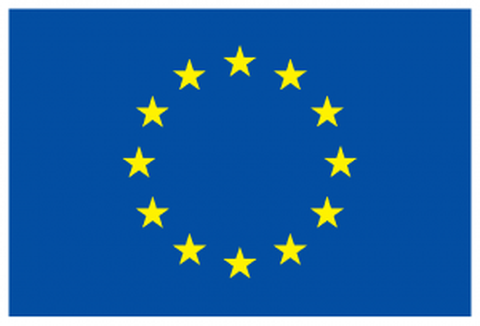 EU Logo