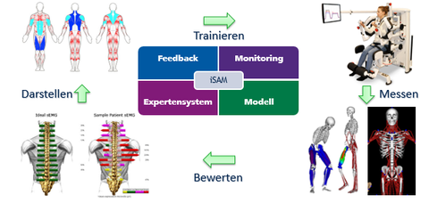 iSAM - Intelligente Sensoren für ausbalancierte Muskeln