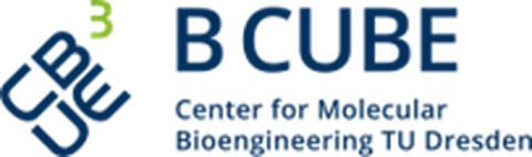 BCube