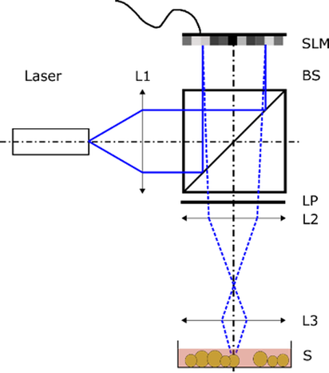 Optogenetik