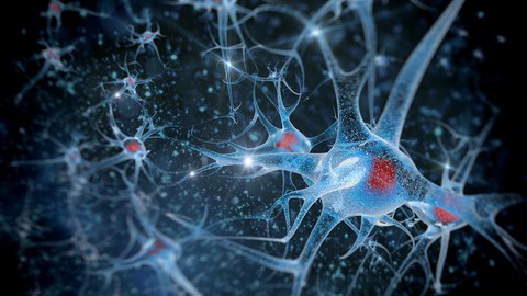3D-Illustration eines Neurons