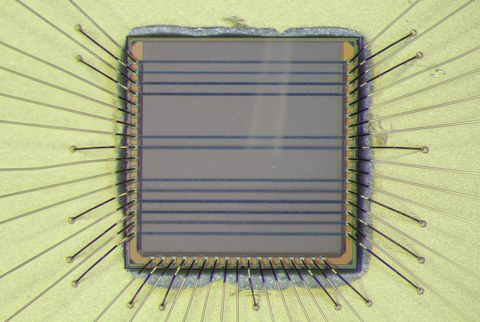 Chipfoto, EVENTS-IC