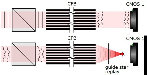 In-vivo calibration holoscope