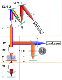 Two-Photon Temporal Focusing Setup for Optogenetic Stimulation