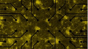 ©BIOLAS (Biomedical Computational Laser Systems)/Czarske Lab