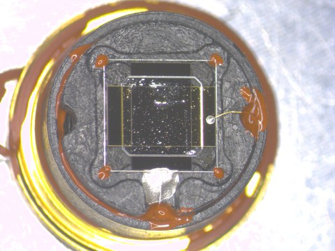 Ein pyroelektrischer Infrarotchip, welcher auf einem goldenen runden Sockel sitzt. Die Elektrischen Kontakte (silber) zum Aktiven material (schwarz) sind in der Mitte zu erkennen.