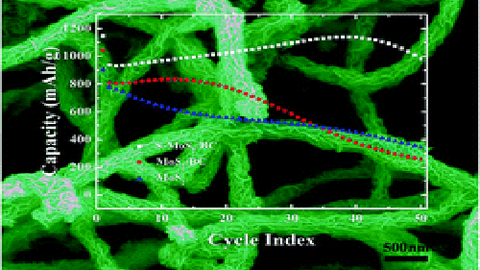 MoS_2/C Nanocomposites