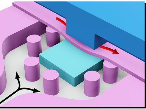 Chemiescher Membrantransistor