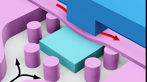 Chemiescher Membrantransistor