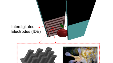 DEA-based gripper