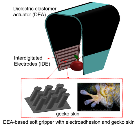 DEA-based gripper