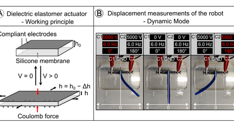 Dielectric elastomer actuators (DEAs) 