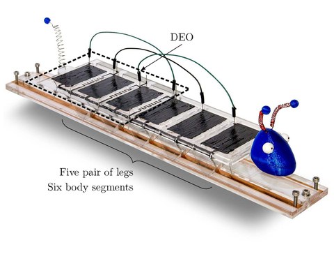 Technologiedemonstrator: Raupenroboter