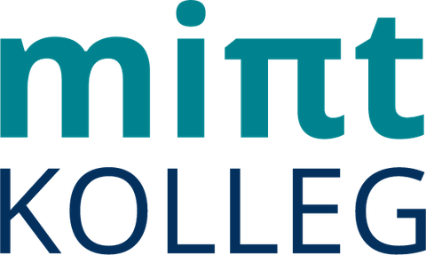 Logo MINT-Kolleg