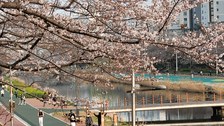 Grimm_Korea_Bild