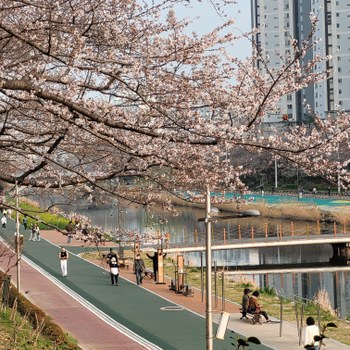 Grimm_Korea_Bild