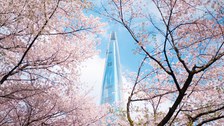 Seoul_2-8275-3.jpg
