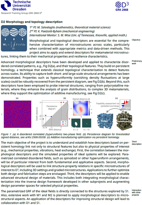 D2 Morphology and topology description.png