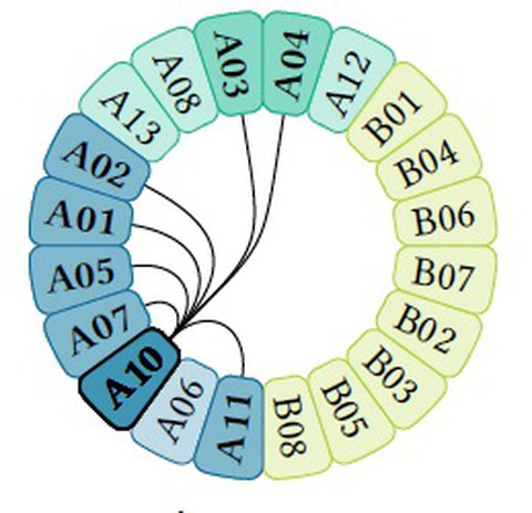 cooperation_tp_a10