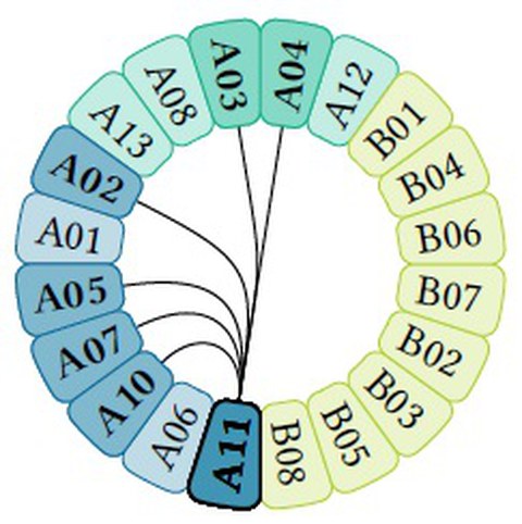 cooperation_tp_a11