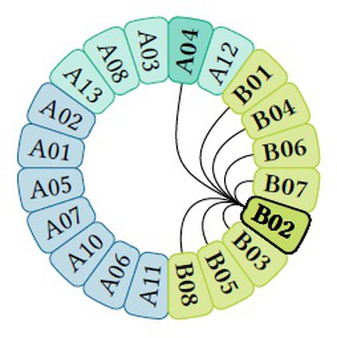 cooperation_tp_b02
