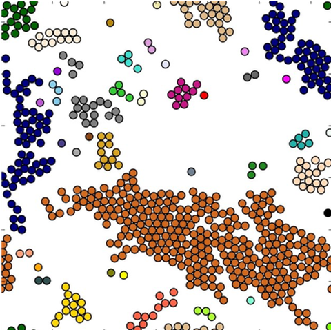 Particle simulation with active phase field crystal