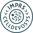 Logo IMPRS