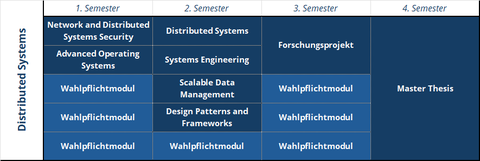 Struktur MSc CS - DSE