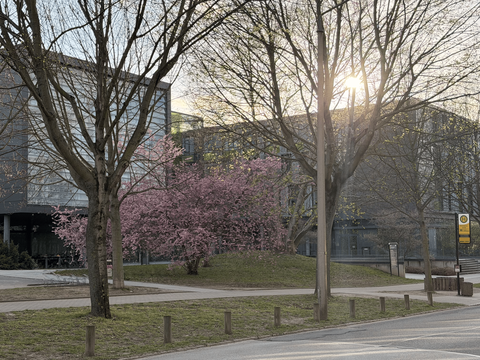 MSc Computer Science ESE