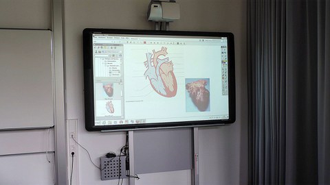 Studentische Arbeit zum Thema "Herz" mittels Interaktion