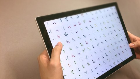 Glyphboard-Anwendung auf einem Tablet