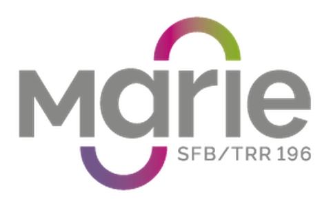 SFB/TRR MARIE Logo