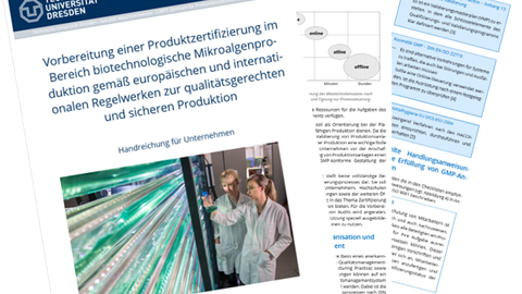 Praxisleitfaden Mikroalgenproduktion