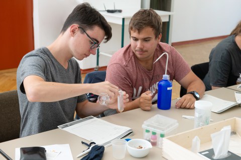 2 Schüler beim Versuche