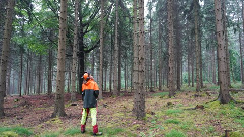 Baumansprache TU Dresden