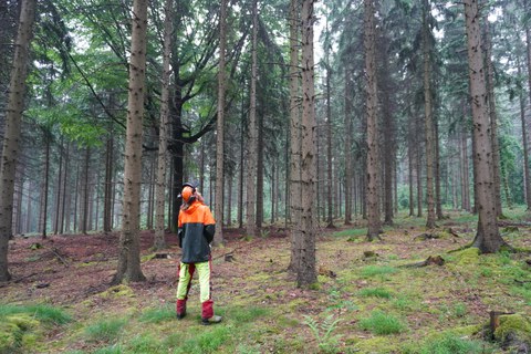 Baumansprache TU Dresden