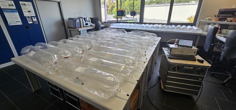 Faltermessung im Luftschlauch