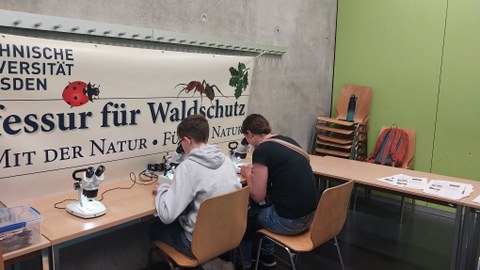 Lange Nacht der Wissenschaften
