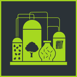 Holztechnik und Faserwerkstofftechnik