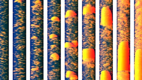 Abbild verschiedener Strömungsformen in einem vertikalen Rohr, in welchem die Verteilung der Gas- und Flüssigphase dargestellt ist